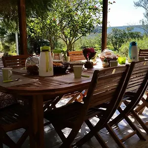  Bed & Breakfast Bella